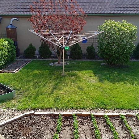 Apartment Anna Šakvice エクステリア 写真